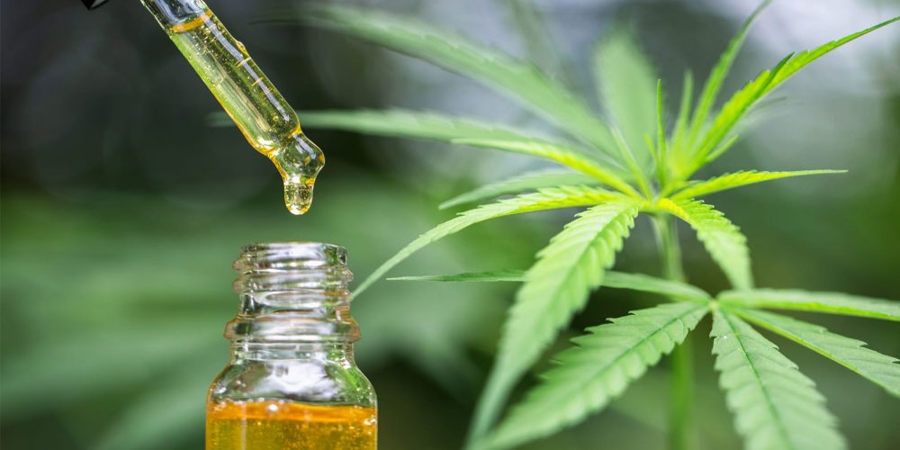 Can CBD and THC affect you adversely?