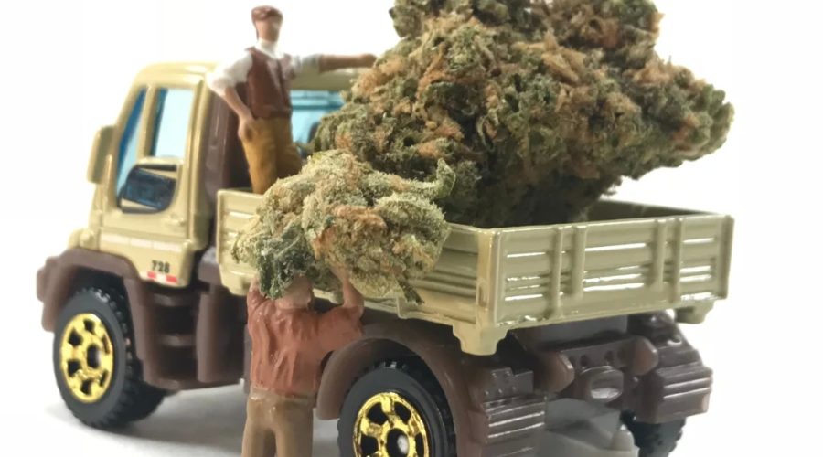 Why You Should Use a Cannabis Delivery Service: A Guide