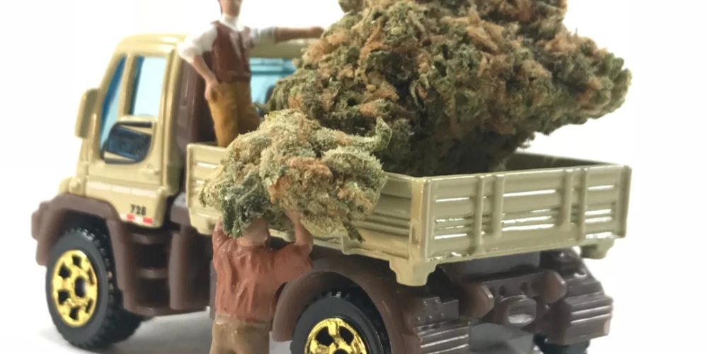 Why You Should Use a Cannabis Delivery Service: A Guide