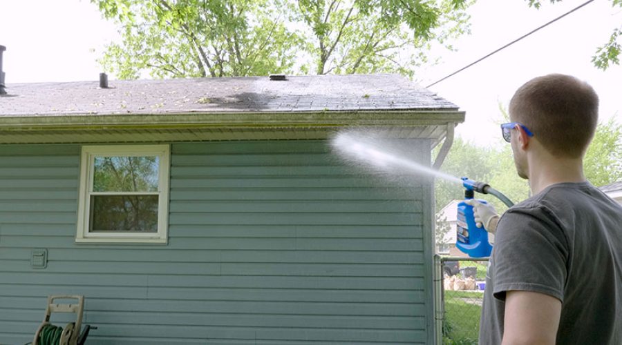 Clear Views, Happy Home: Window Cleaning Services You Can Rely On